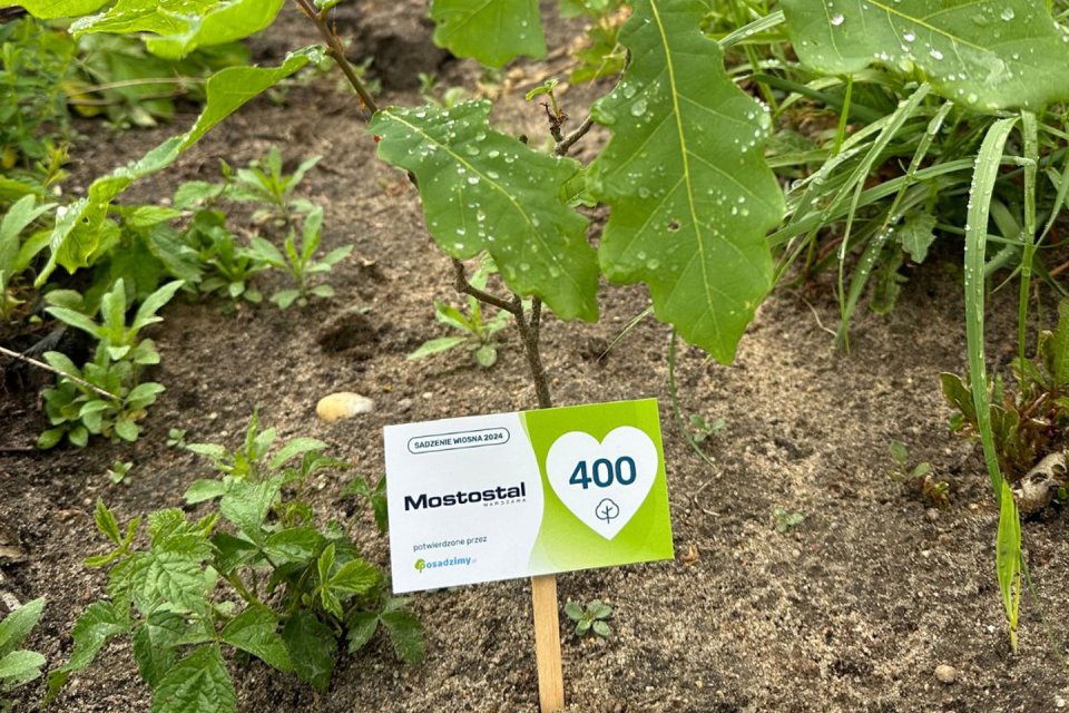 Troska o środowisko