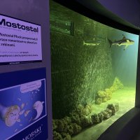 Pamiątka współpracy Mostostalu Płock z płockim ZOO