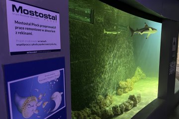 Pamiątka współpracy Mostostalu Płock z płockim ZOO