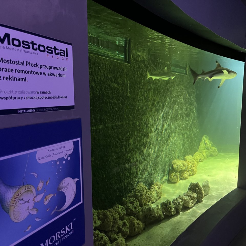 Pamiątka współpracy Mostostalu Płock z płockim ZOO