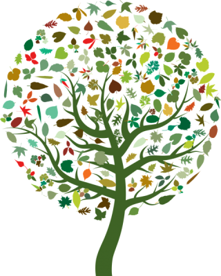 Mostostal Warszawa po raz pierwszy publikuje Raport CSR