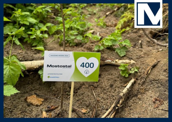 Mostostal Warszawa zaangażowany w akcję sadzenia drzew