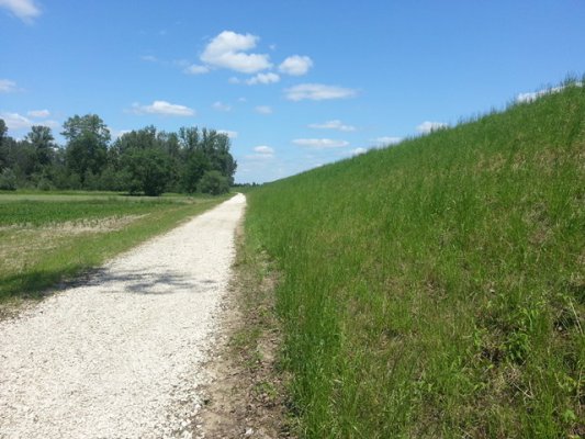 Wały Wisłoki dużo przed czasem