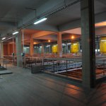 Zdjecie - 1