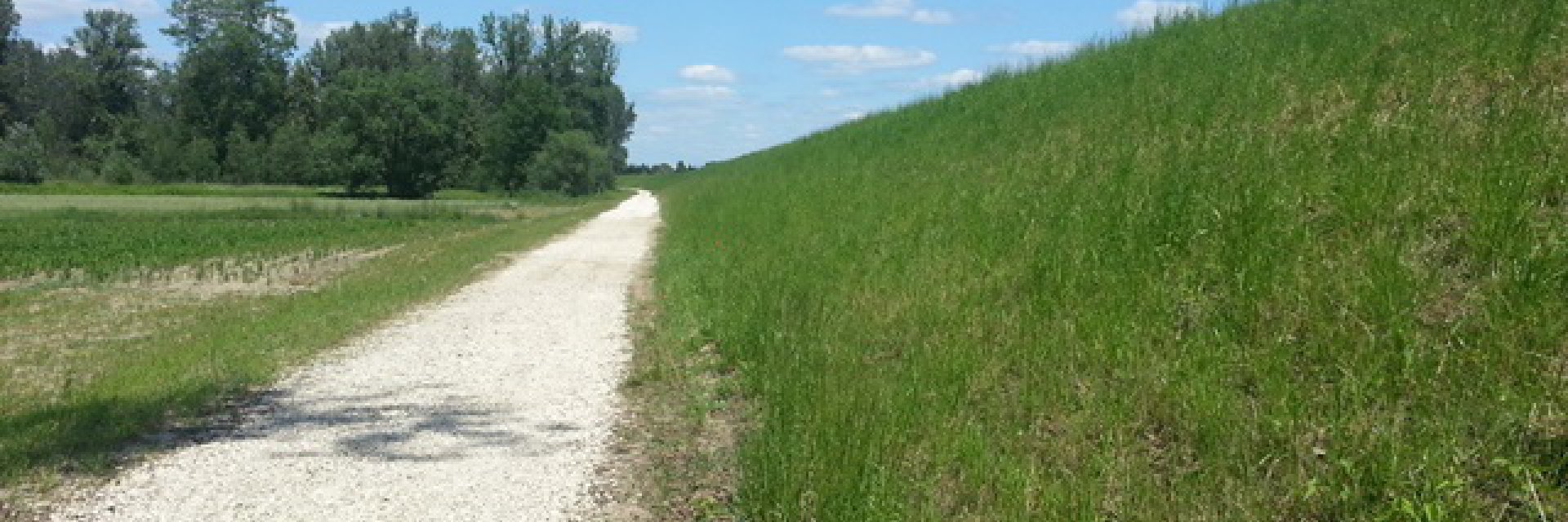 Modernisation, anti-filtration protection of the right embankment of the Wisłoka River in km 8 + 800 – 16 + 074 along with construction of embankment roads in the towns of Chrząstów and Złotniki in the Mielec Commune, in the town of Brzysta in the Gawłusz