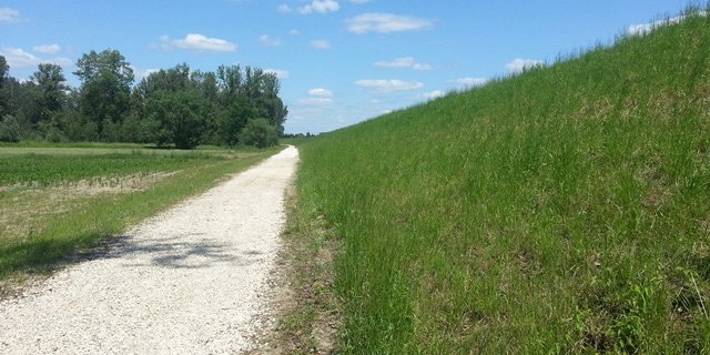 The right floodbank of the Vistula River along the Kaniczki - Grabówko section at 15+500 - 17+300 km and along the Rudniki - Biała Góra section at 39+000 - 43+900 km, Sadlinki, Kwidzyń and Ryjewo communes, Kwidzyń Province, Pomorskie Province.