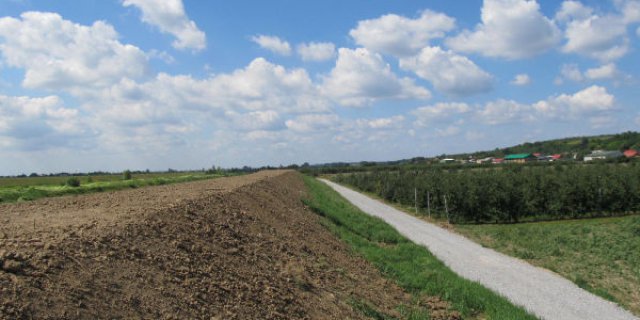 Trześniówka II - anti-filtration protection of the left embankment of the Trześniówka River