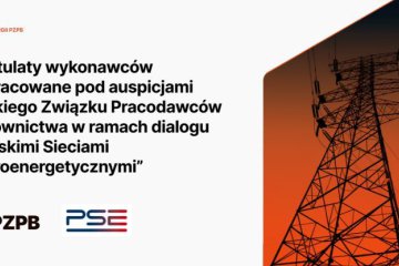 An important step in the dialogue with Polskie Sieci Elektroenergetyczne
