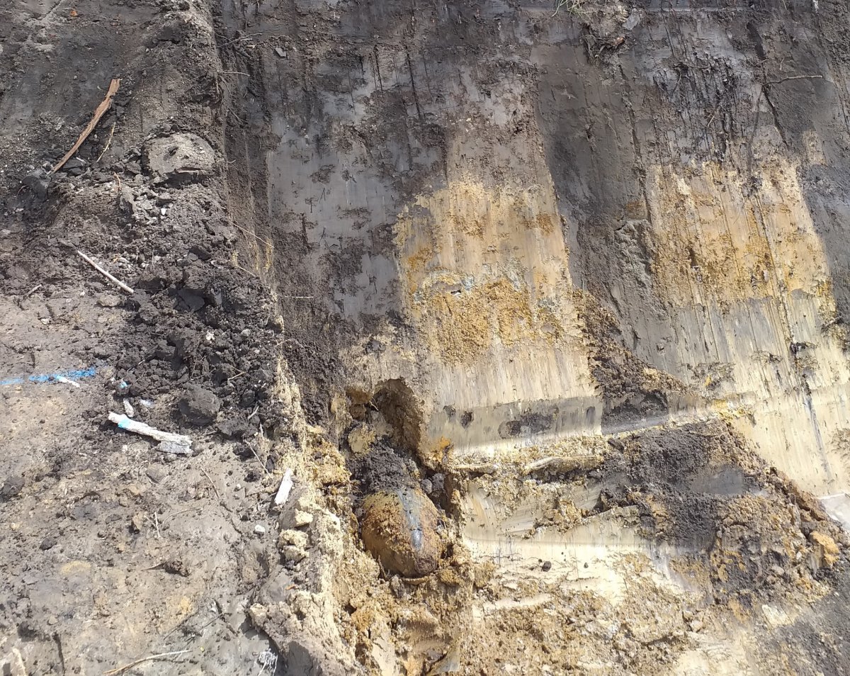 An unusual discovery at a construction site in Wrocław