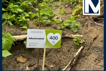 Mostostal Warszawa involved in tree planting campaign