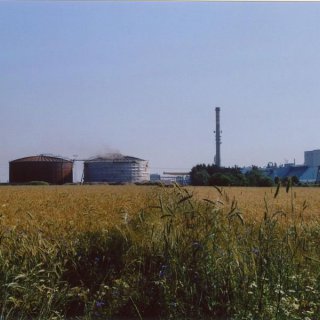 zdjęcie-6