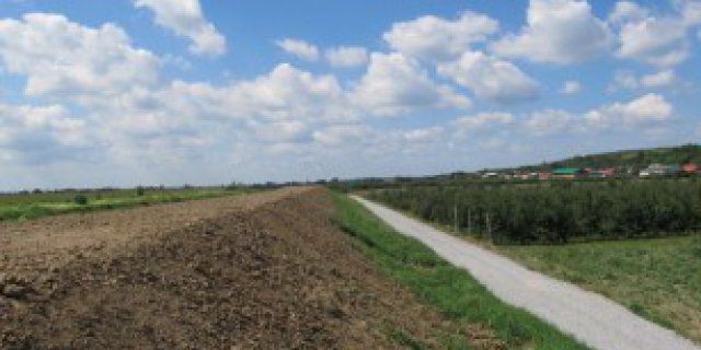 Trześniówka II - przeciwfiltracyjne zabezpieczenie lewego wału rzeki Trześniówki