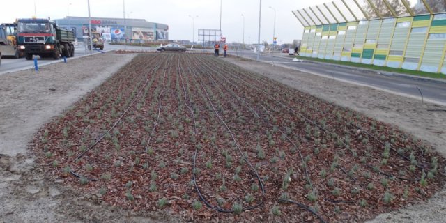 Construction of Droga Zielona (Green Road) on a section from Niepodległości Ave. / Grunwaldzka Street to the crossing of Gospody Street and Łokietka Street with the Gospody roundabout and a section of Łokietka Street with a pedestrian tunnel.
